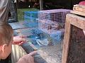 2007 07 11 BALI 0038